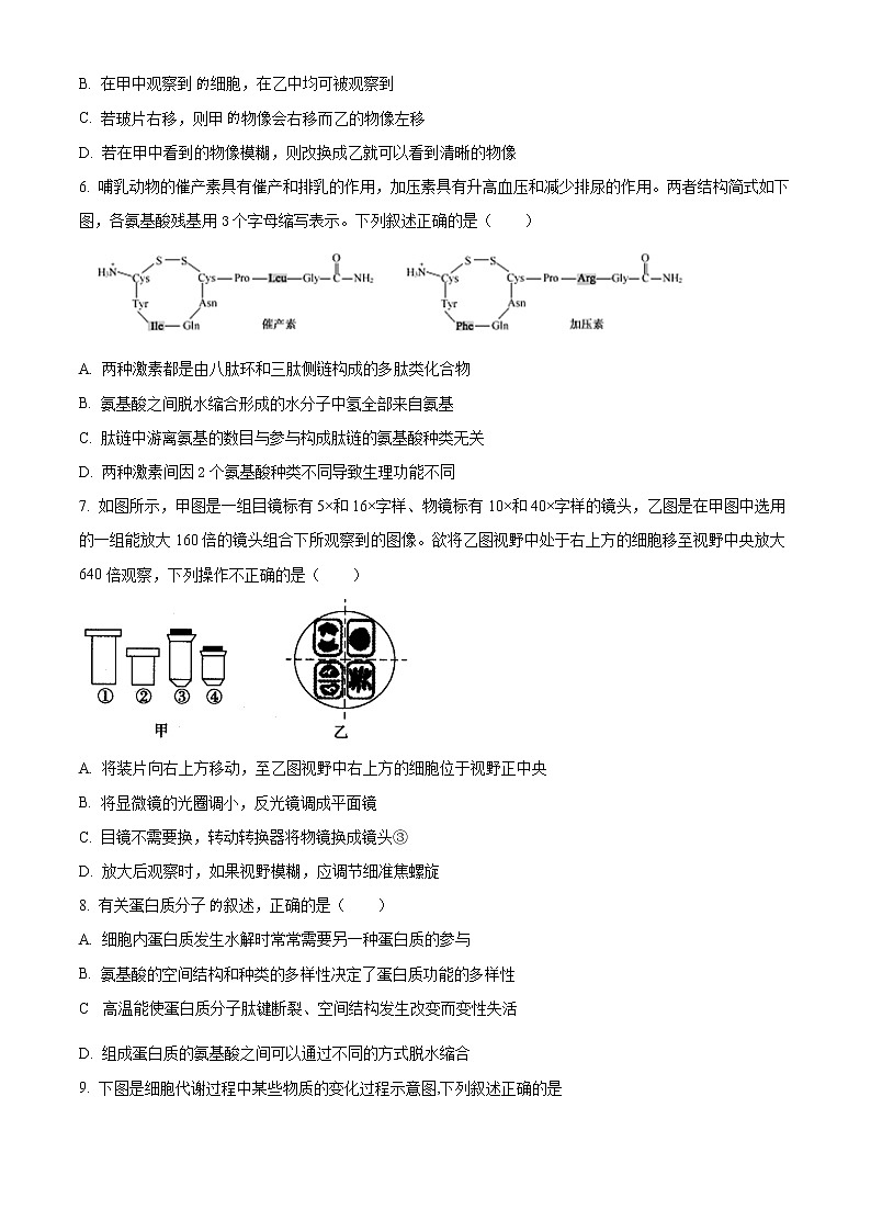 2022-2023学年天津市滨海新区塘沽第一中学高三上学期第一次月考生物试题(解析版)第2页