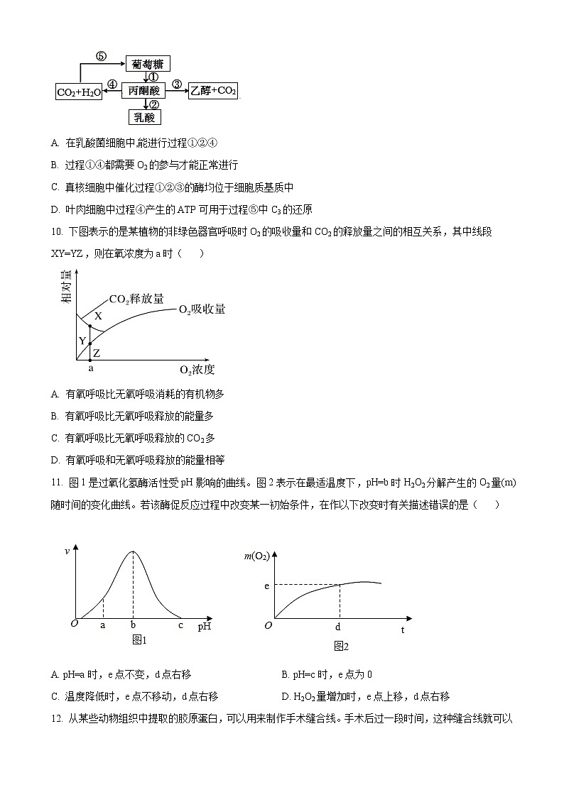 2022-2023学年天津市滨海新区塘沽第一中学高三上学期第一次月考生物试题(解析版)第3页