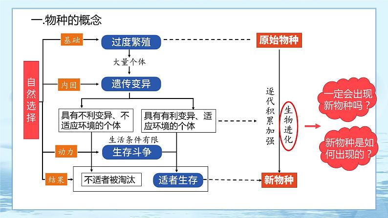 6.3 种群基因组成的变化与物种的形成(第2课时)第2页