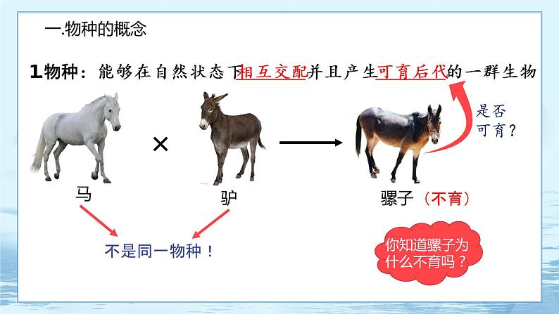 6.3 种群基因组成的变化与物种的形成(第2课时)第4页