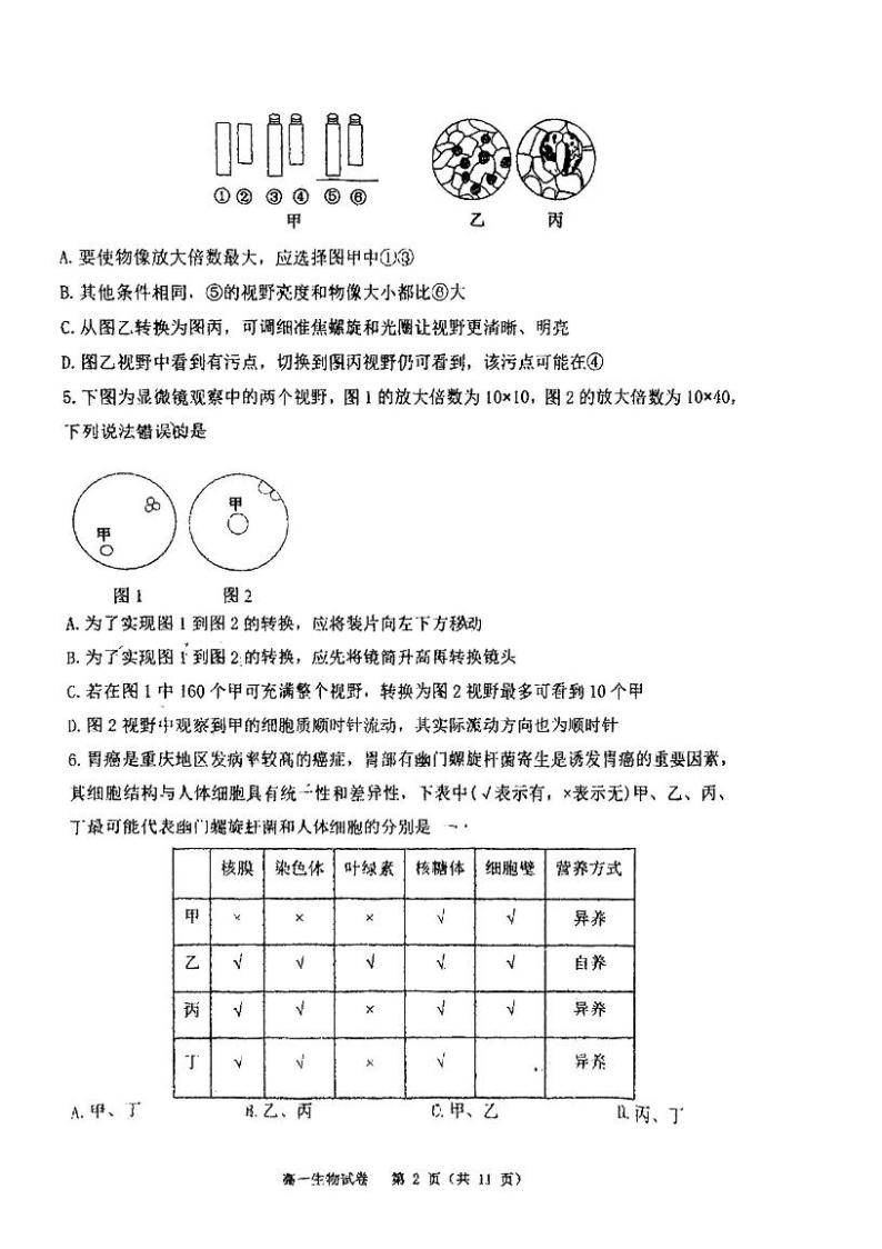 2023重庆市巴蜀中学高一上学期2月期末生物试题PDF版无答案02