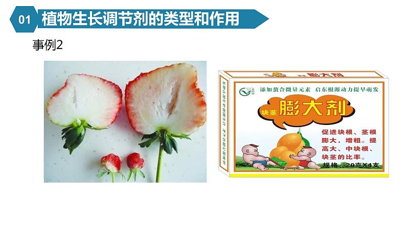 5.3植物生长调节剂的应用课件PPT07