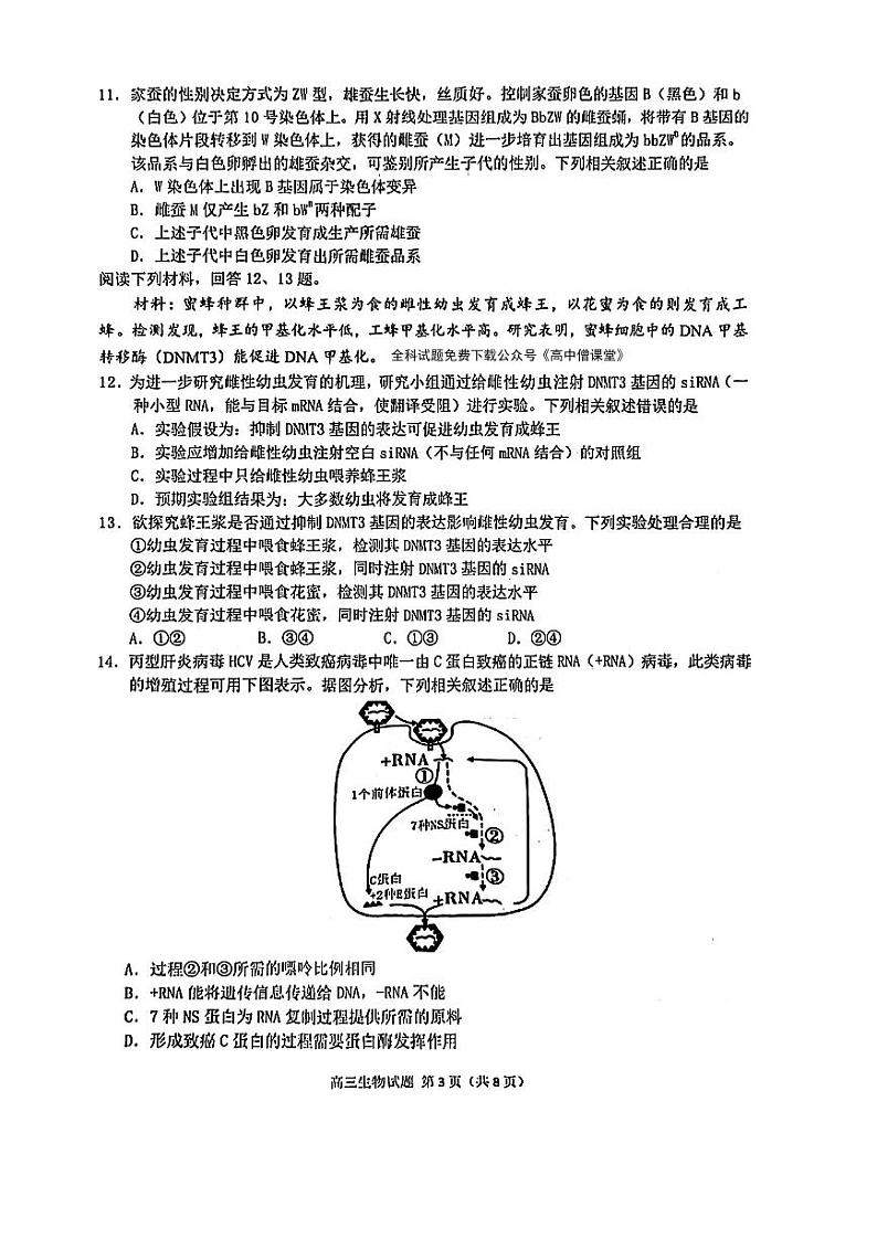 2023泉州高三下学期质量监测(二)(2月)生物PDF版含答案第3页