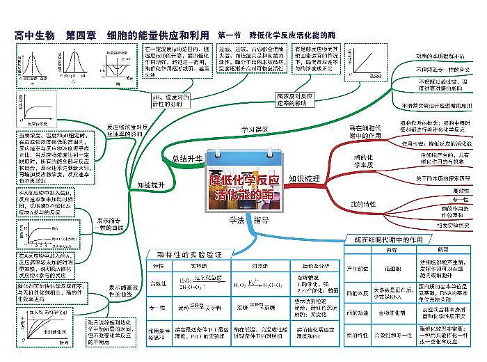 高中生物思维导图-第四章 细胞的能量供应和利用第1页
