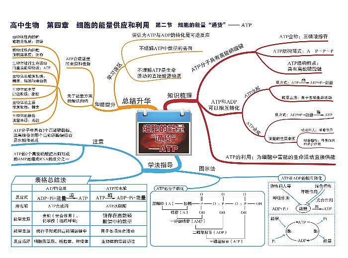 高中生物思维导图-第四章 细胞的能量供应和利用第2页