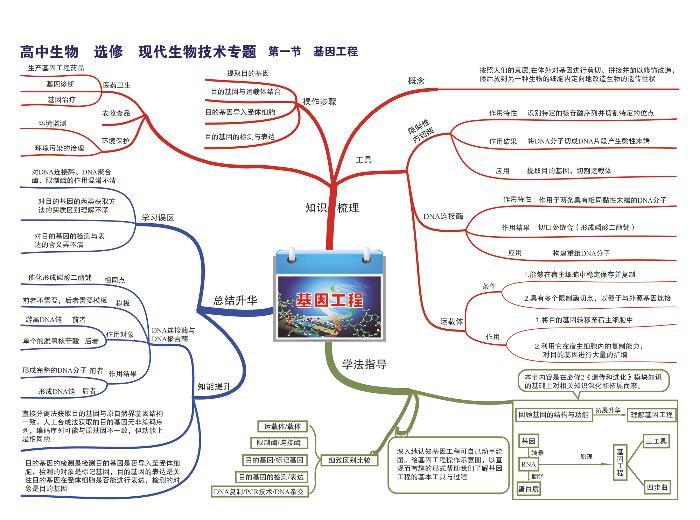 高中生物思维导图-选修 现代生物技术专题01