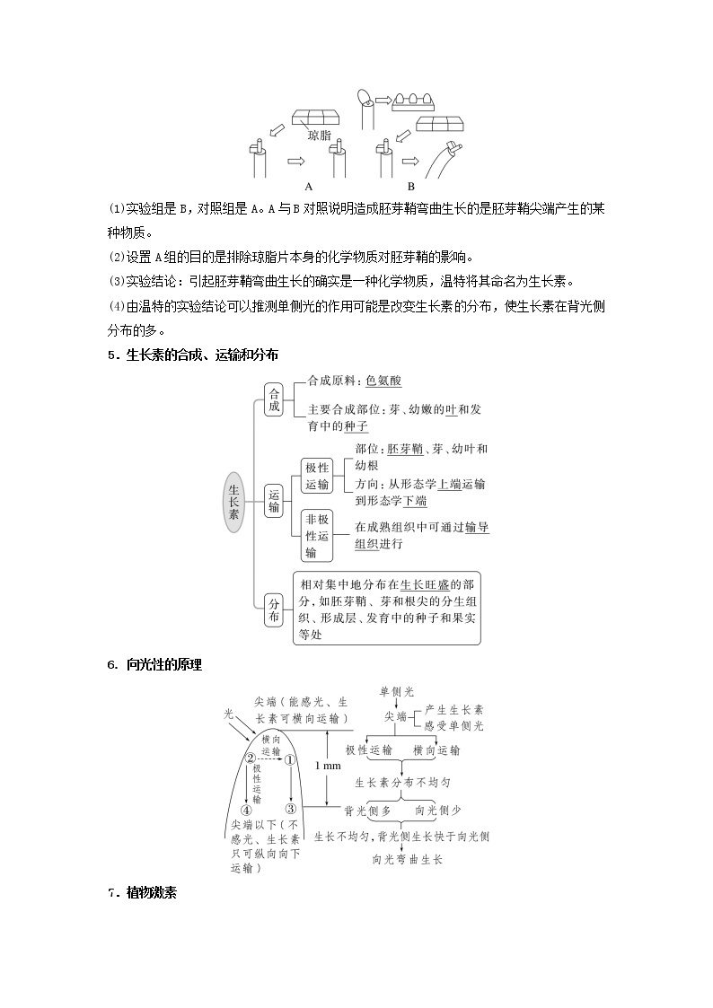 考点28+植物生命活动的调节（核心考点讲与练）-2023年高考生物一03