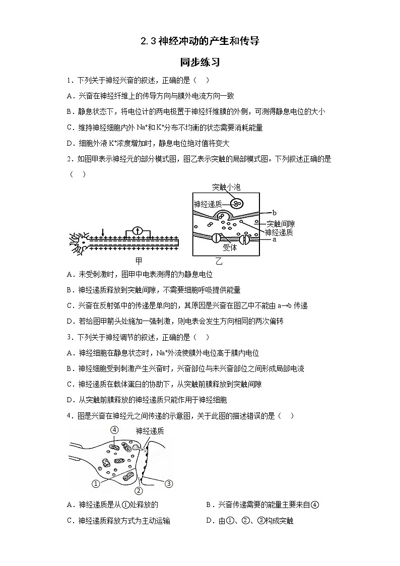 2.3神经冲动的产生和传导同步练习-2022-2023学年高二上学期生物人教版(2019)选择性必修1第1页
