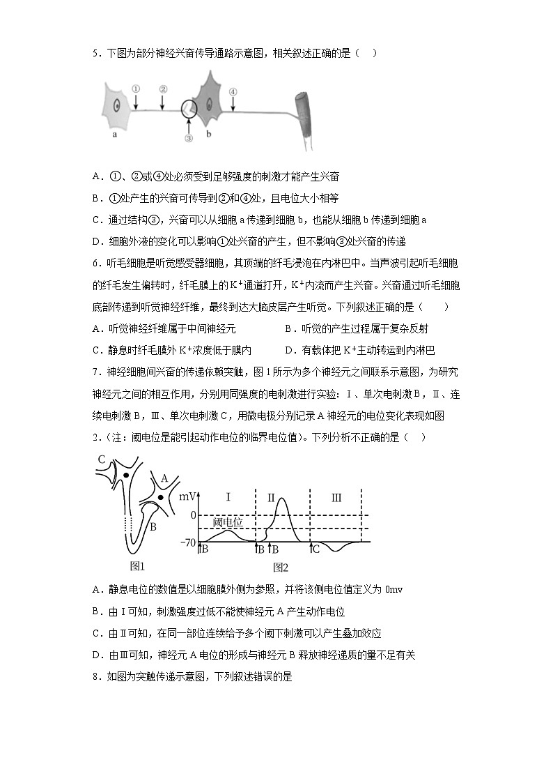 2.3神经冲动的产生和传导同步练习-2022-2023学年高二上学期生物人教版(2019)选择性必修1第2页