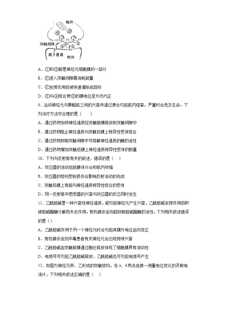 2.3神经冲动的产生和传导同步练习-2022-2023学年高二上学期生物人教版(2019)选择性必修1第3页