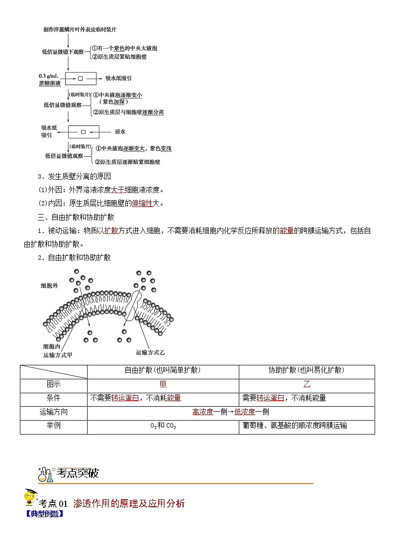 4.1 被动运输(教师版)第2页