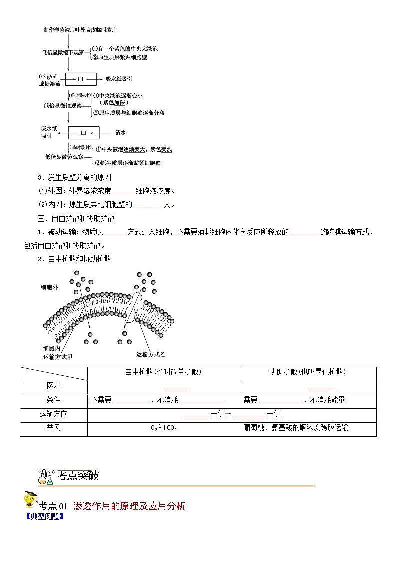 4.1 被动运输(学生版)第2页