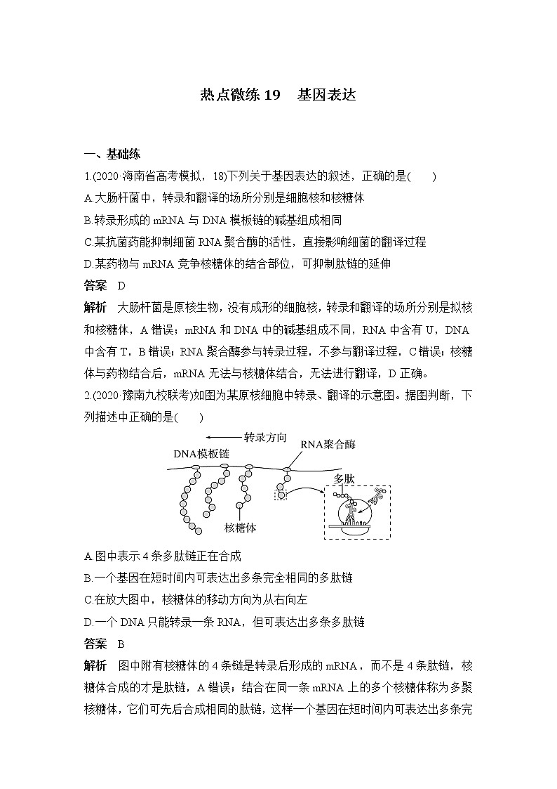 2023届高三生物一轮复习热点微练19:基因表达第1页