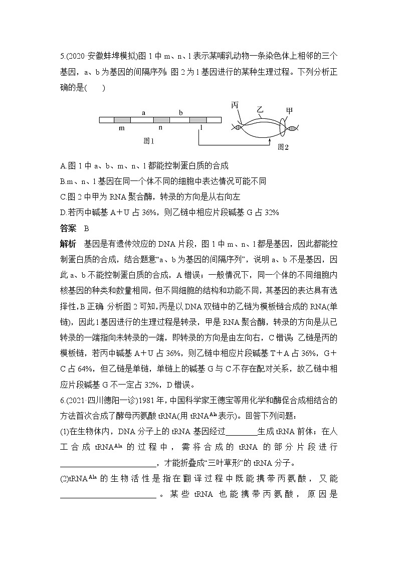 2023届高三生物一轮复习热点微练19:基因表达第3页