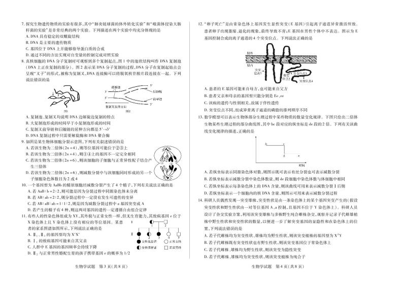 2022-2023学年河南省天一大联考皖豫名校联盟高二上学期开学考试 生物  PDF版02