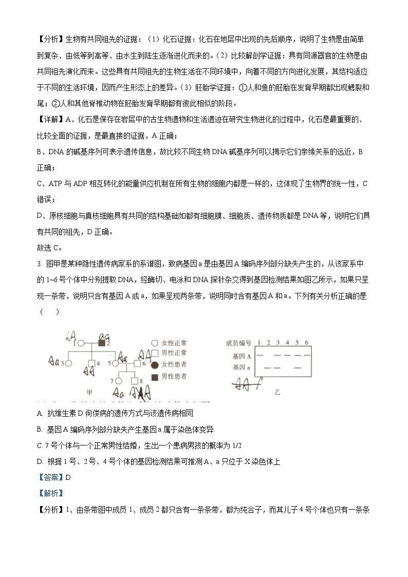 云南省玉溪市2022-2023學(xué)年高三下學(xué)期一模生物試題含解析第2頁
