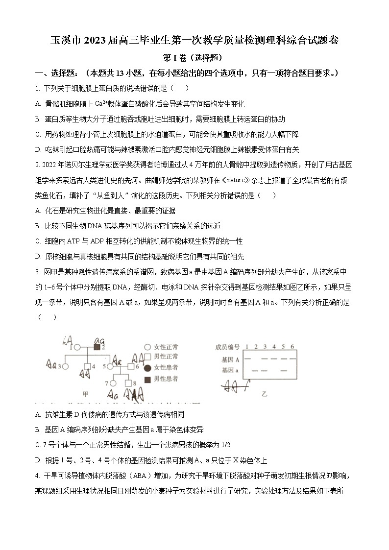 云南省玉溪市2022-2023學(xué)年高三下學(xué)期一模生物試題無答案第1頁