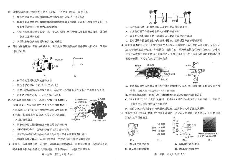 2023南阳高一上学期（期末）生物试题扫描版含答案02