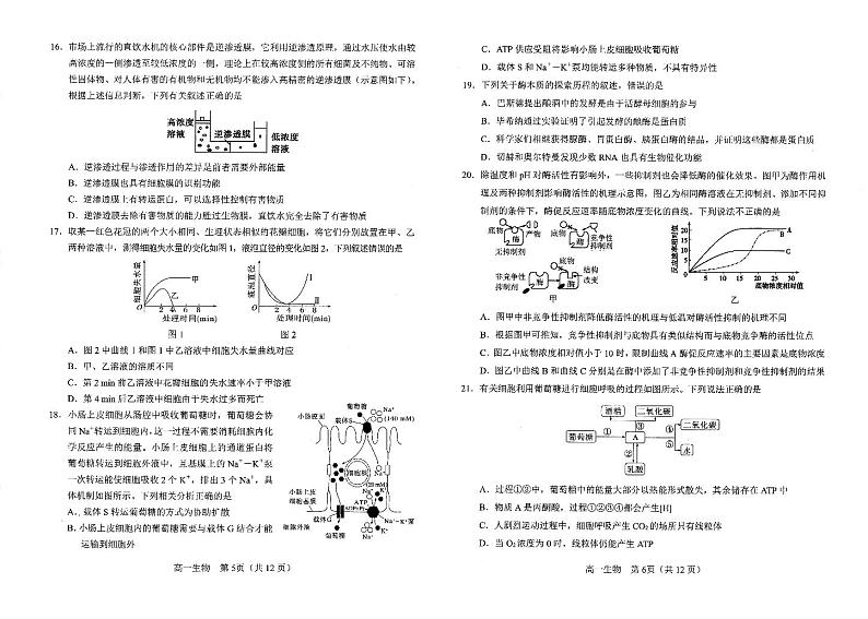 2023南阳高一上学期(期末)生物试题扫描版含答案03