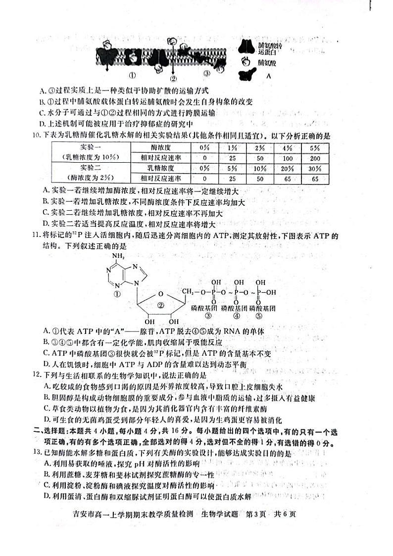 江西省吉安市2022-2023学年高一上学期期末生物试卷PDF版无答案第3页
