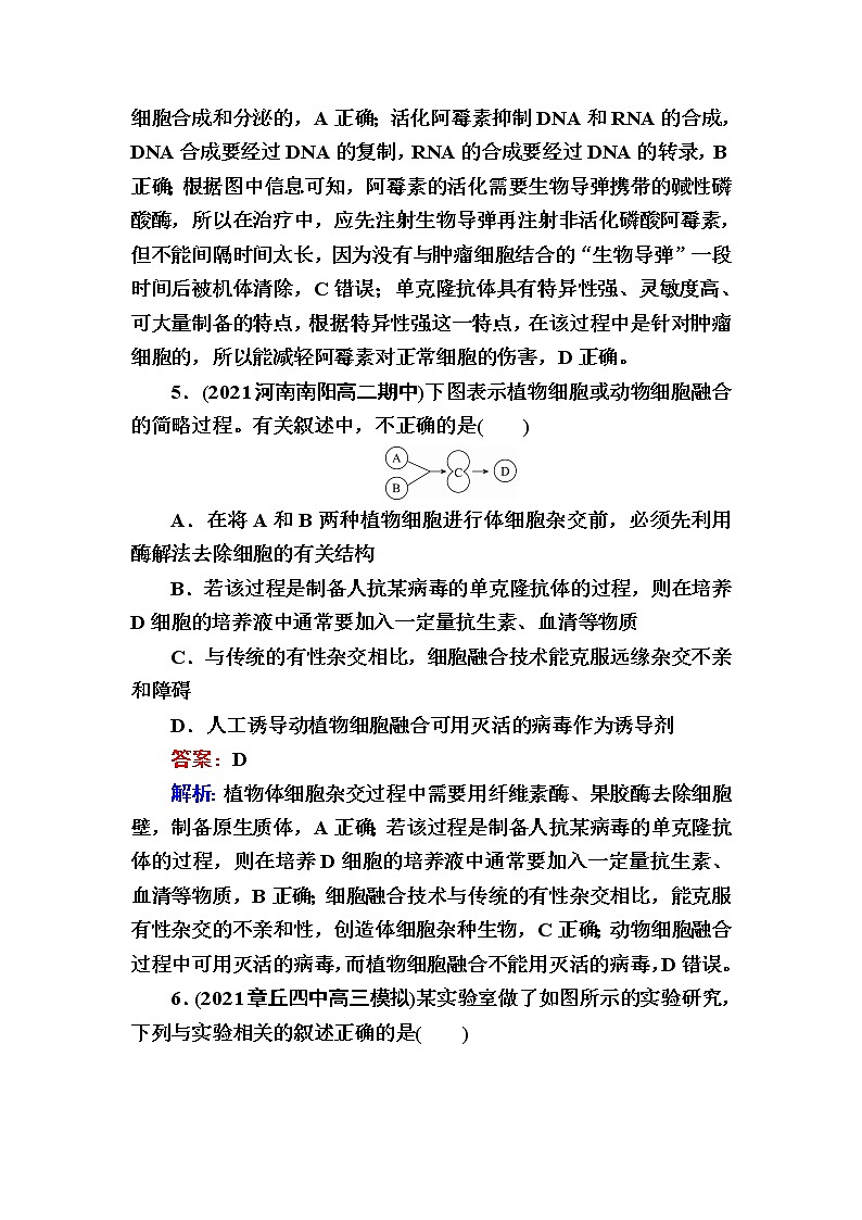 人教版高中生物选择性必修3动物细胞融合技术与单克隆抗体作业含答案第3页