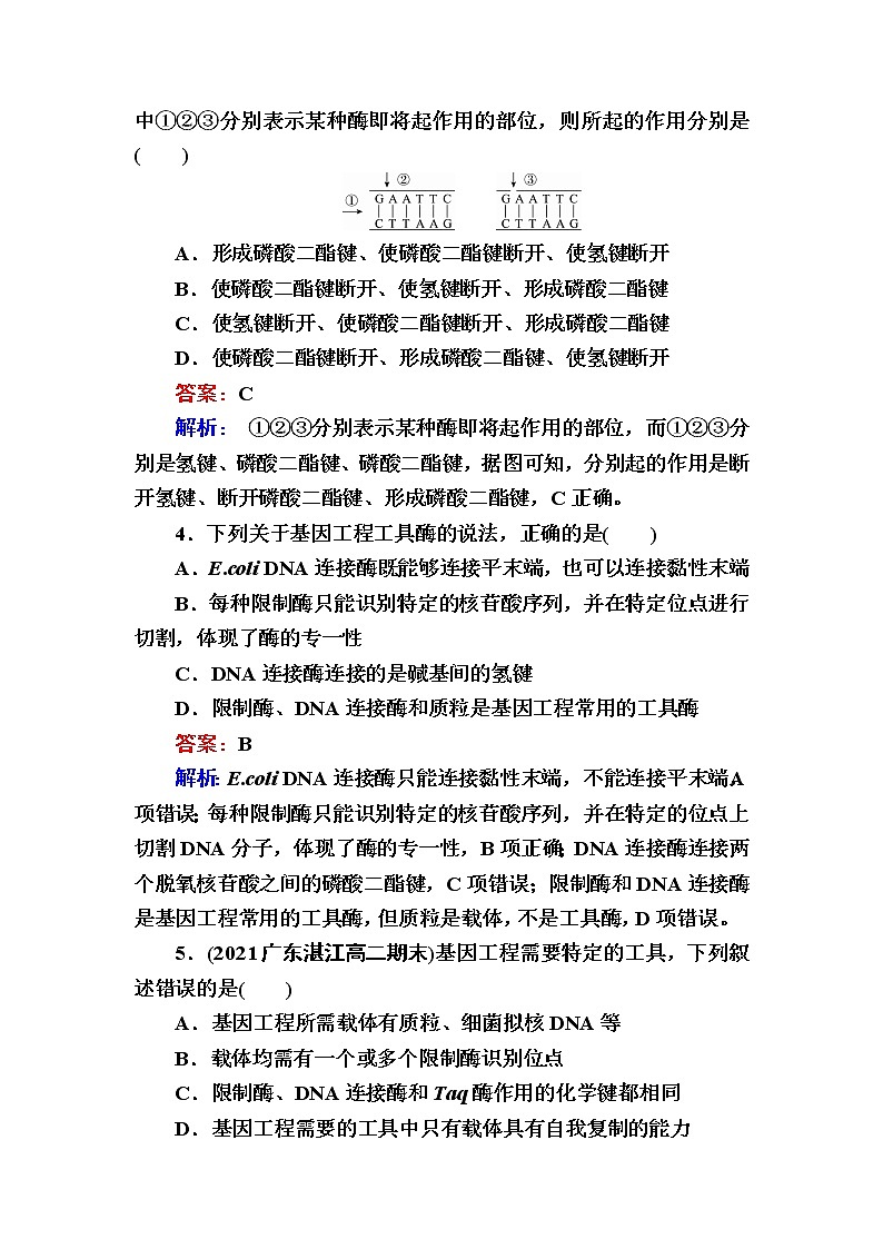 人教版高中生物选择性必修3重组DNA技术的基本工具作业含答案第2页