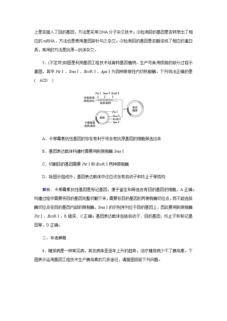 人教版高中生物选择性必修三基因工程的基本操作程序作业含答案第3页