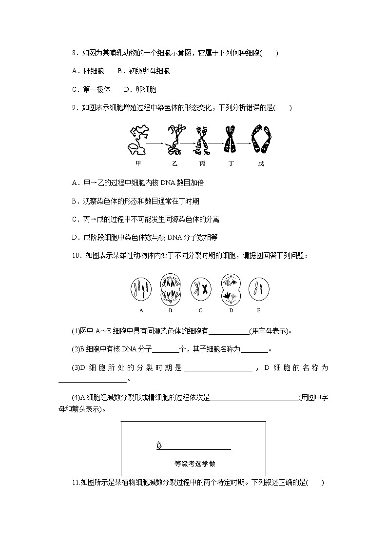人教版高中生物必修二减数分裂与精子和卵细胞的形成过程作业含答案03
