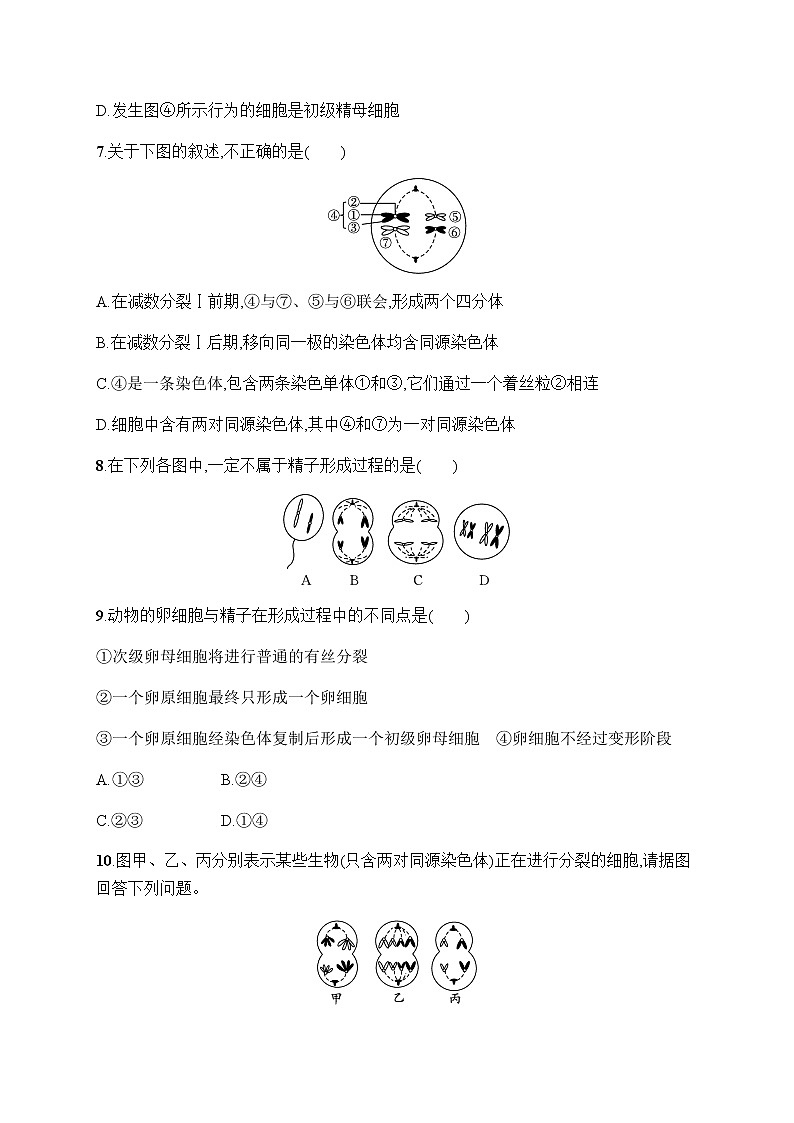人教版高中生物必修二减数分裂作业含答案03