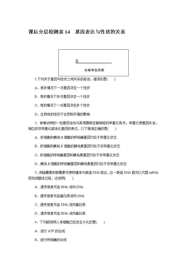人教版高中生物必修二基因表达与性状的关系作业含答案1第1页