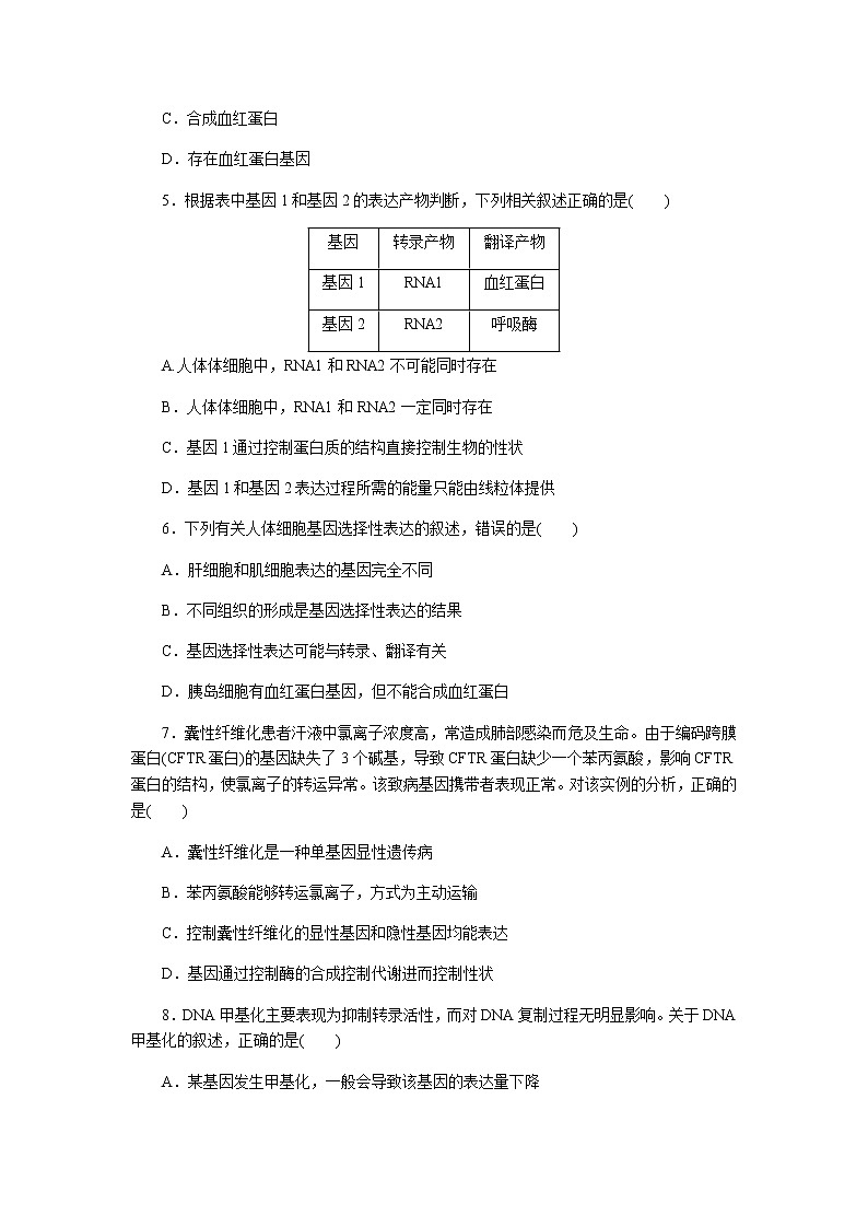 人教版高中生物必修二基因表达与性状的关系作业含答案1第2页