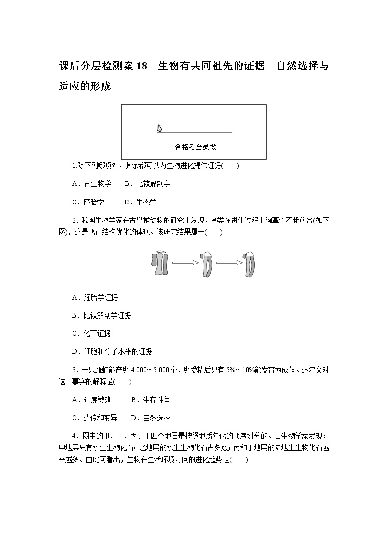 人教版 (2019)必修2《遗传与进化》第1节 生物有共同祖先的证据课时作业
