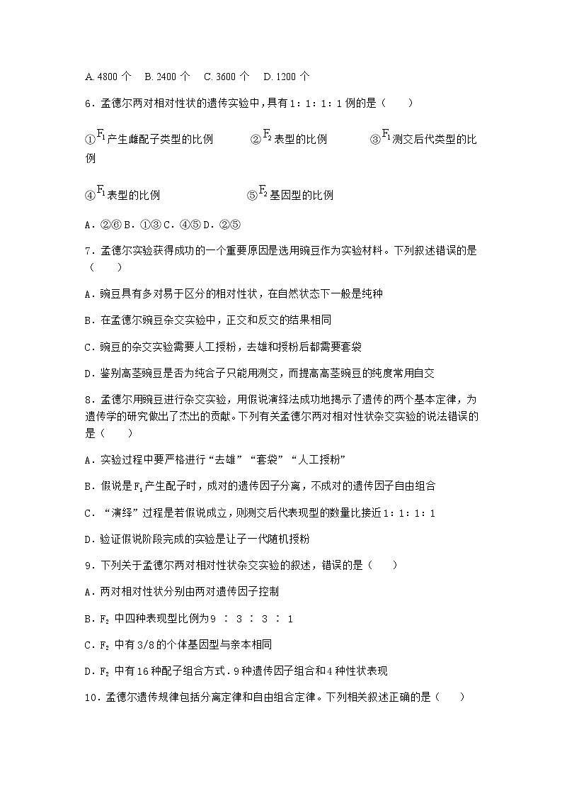 人教版高中生物必修2第2节孟德尔的豌豆杂交实验(二)同步作业含答案1第2页