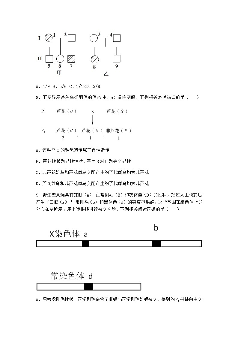 人教版高中生物必修2第3节伴性遗传同步作业含答案第3页