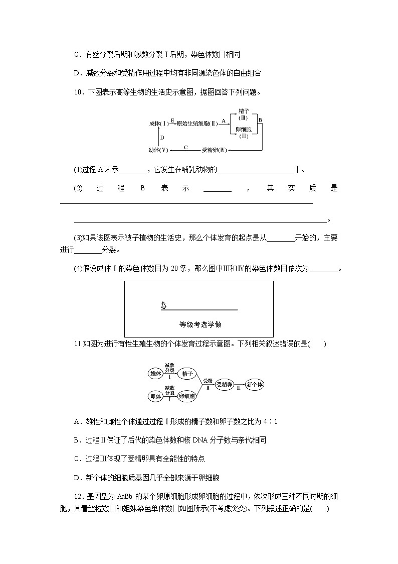 人教版高中生物必修二减数分裂和受精作用作业含答案03
