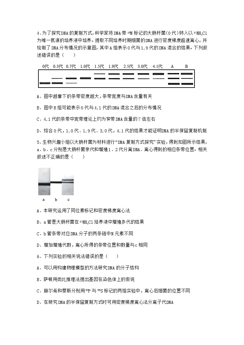 人教版高中生物必修2第3节DNA的复制随堂作业含答案第2页