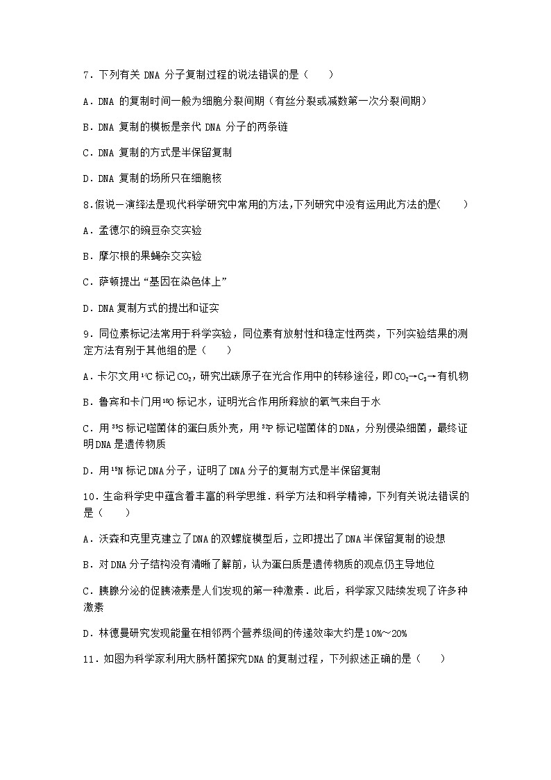 人教版高中生物必修2第3节DNA的复制随堂作业含答案第3页