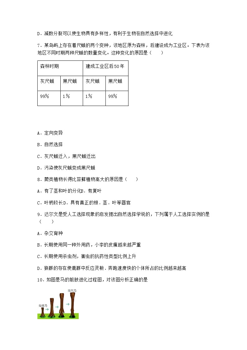 人教版高中生物必修2第2节自然选择与适应的形成随堂作业含答案103