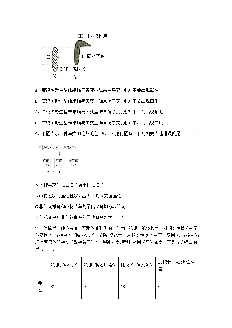 人教版高中生物必修2第3节伴性遗传优质作业含答案3第3页