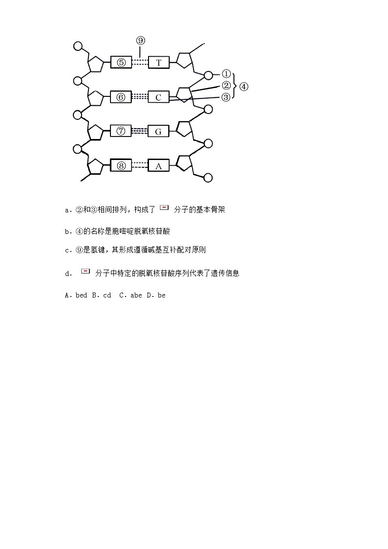 人教版高中生物必修2第2节DNA的结构优选作业含答案2第2页