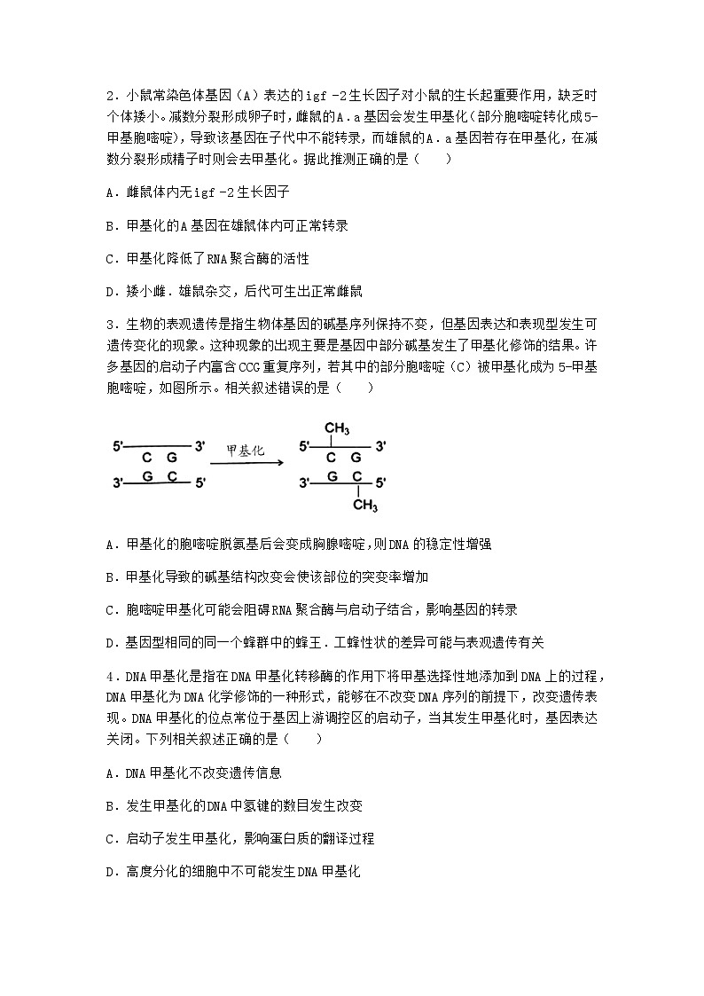 人教版高中生物必修2第2节基因表达与性状的关系优质作业含答案2第2页