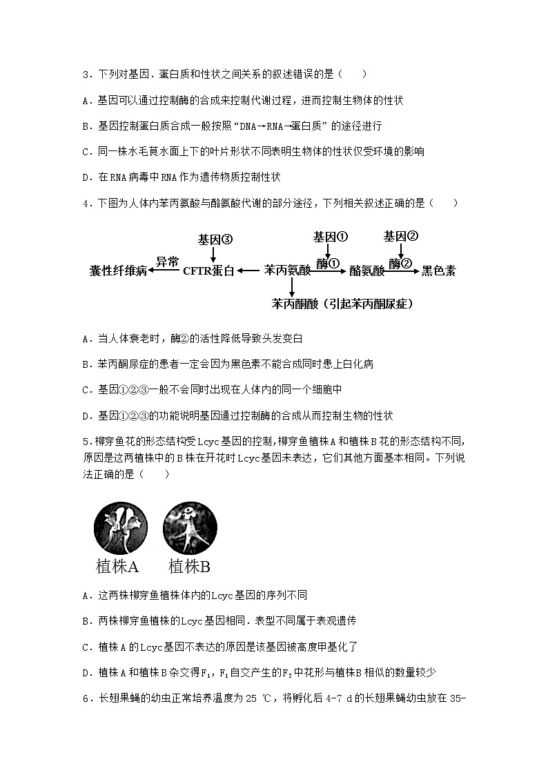 人教版高中生物必修2第2节基因表达与性状的关系优选作业含答案3第2页