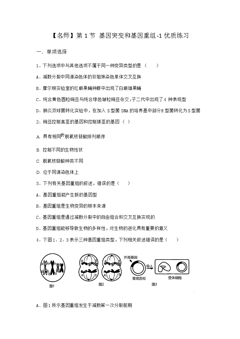 人教版高中生物必修2第1节基因突变和基因重组优质作业含答案301