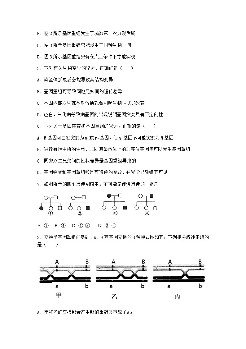 人教版高中生物必修2第1节基因突变和基因重组优质作业含答案302