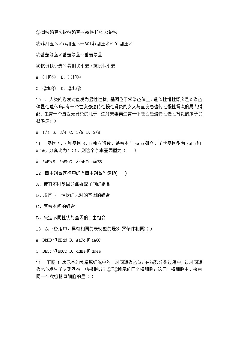 人教版高中生物必修2第2节孟德尔的豌豆杂交实验(二)课时作业含答案3第3页