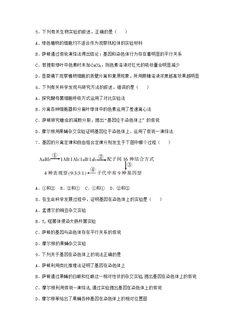 人教版高中生物必修2第2节基因在染色体上课时作业含答案1第2页