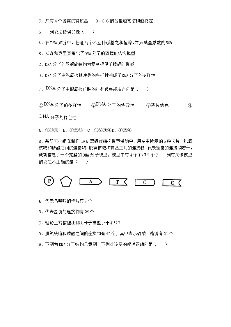 人教版高中生物必修2第2节DNA的结构课时作业含答案3第2页