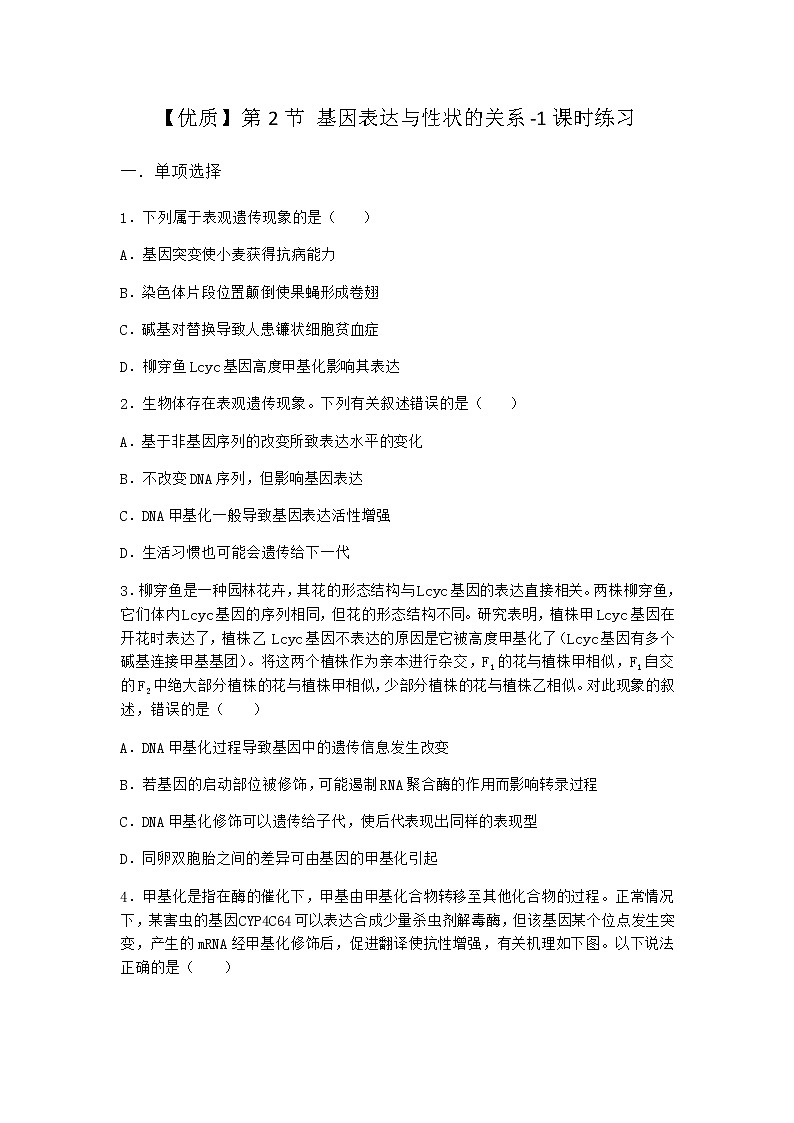 人教版高中生物必修2第2节基因表达与性状的关系课时作业含答案4第1页