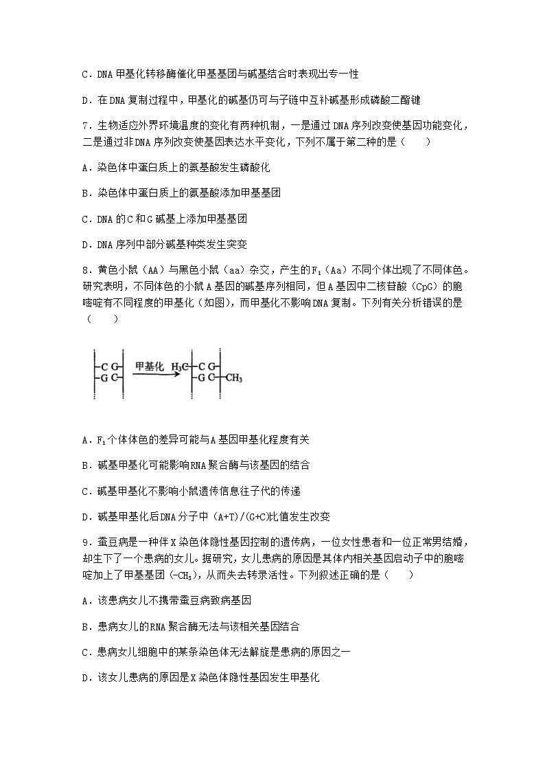 人教版高中生物必修2第2节基因表达与性状的关系课时作业含答案4第3页
