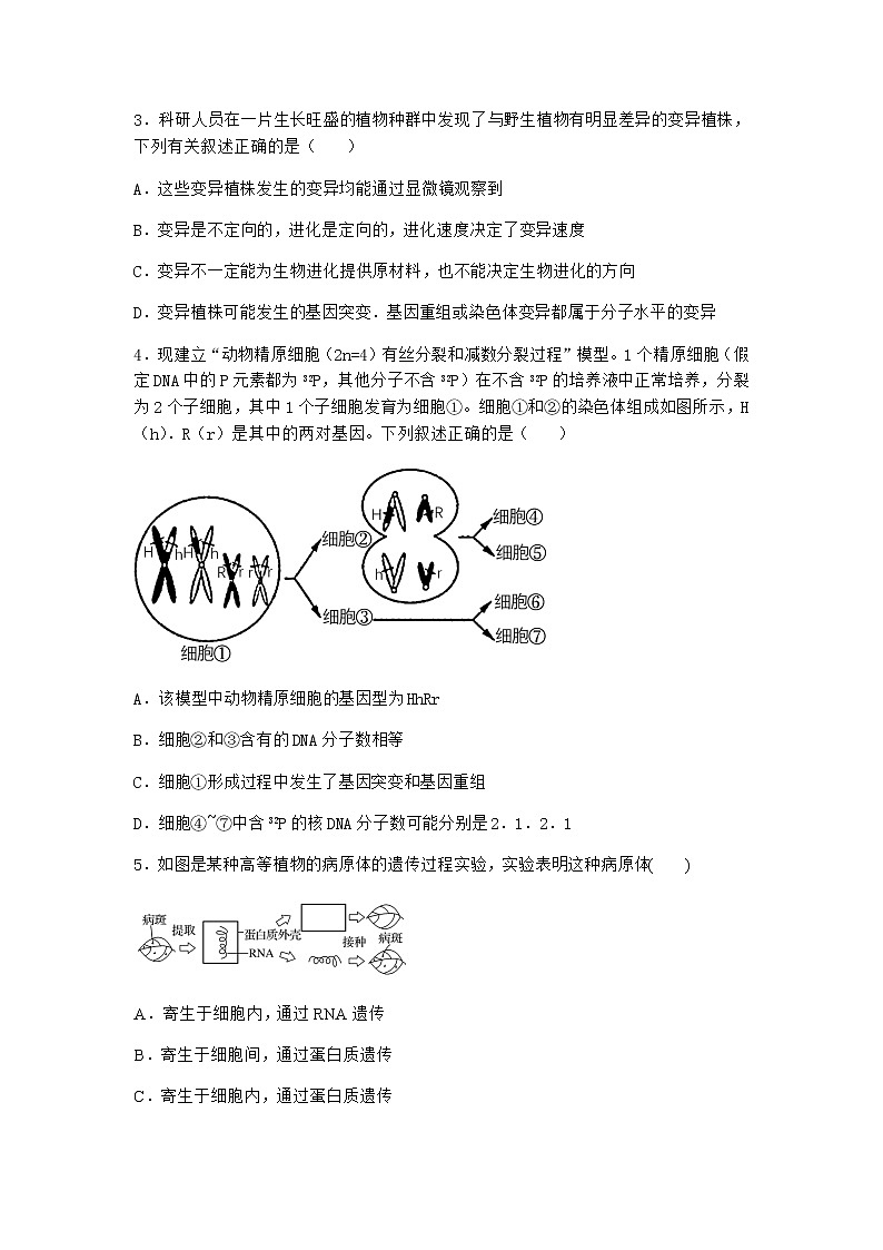 人教版高中生物必修2第1节基因突变和基因重组课时作业含答案2第2页